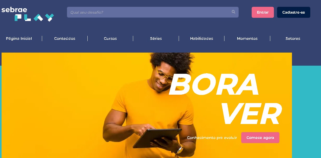 Sebrae lança plataforma de olho em empreendedores