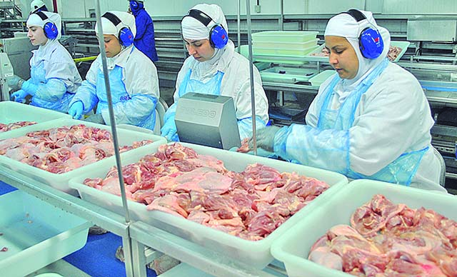 Carne de frango brasileira exportada teve salto em receita e volume para o País em 2022 | Crédito: Divulgação