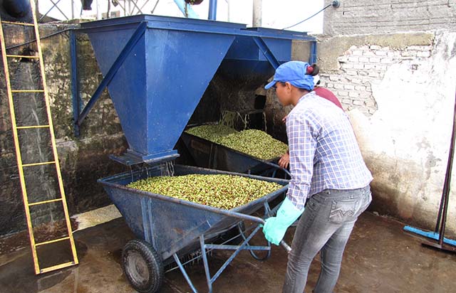 Receita combate fraude com café