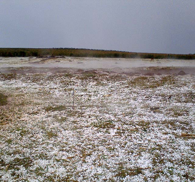 Chuvas de granizo geram perdas para o agronegócio