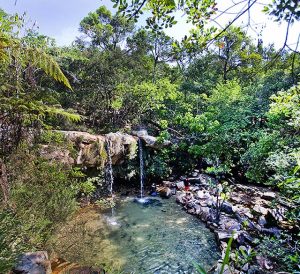cachoeira em sao tome das letras com agua azul e rodeada de pequenas arvores