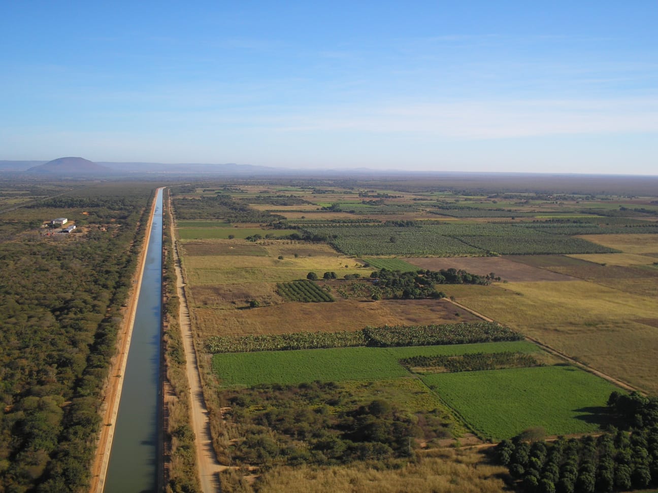 Foto: Divulgação/Seapa