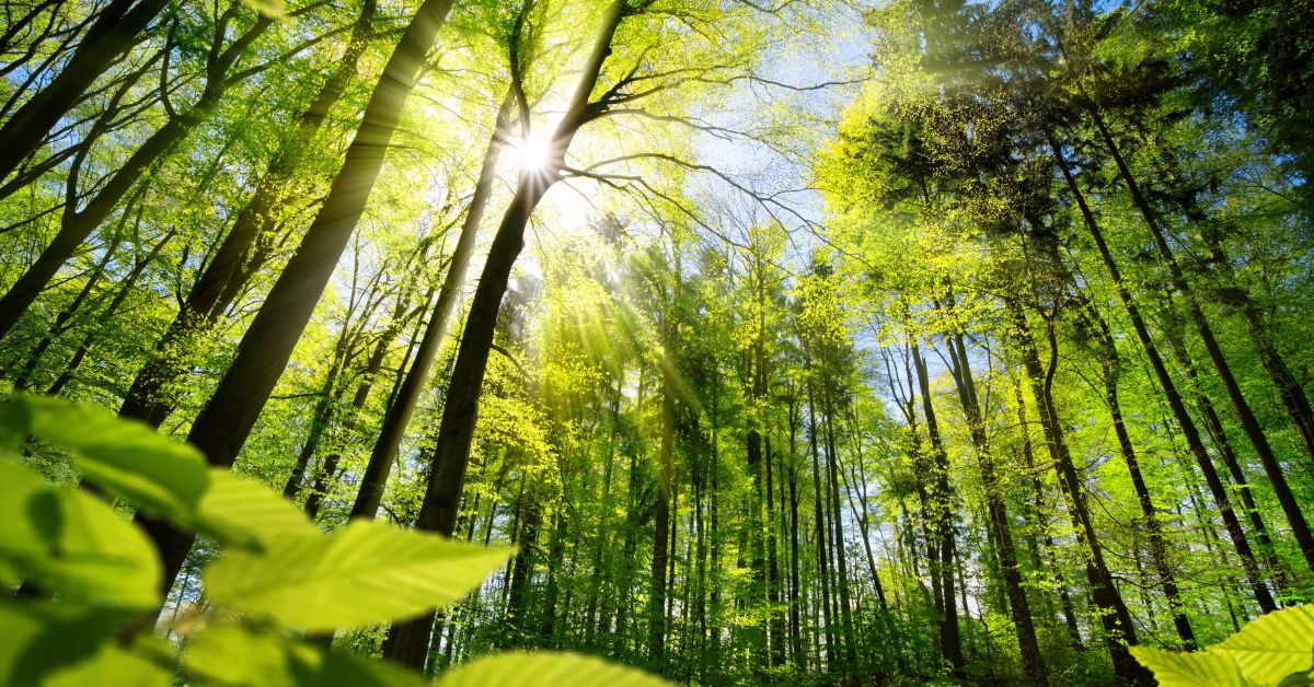 Temas ambientais serão foco da AGU