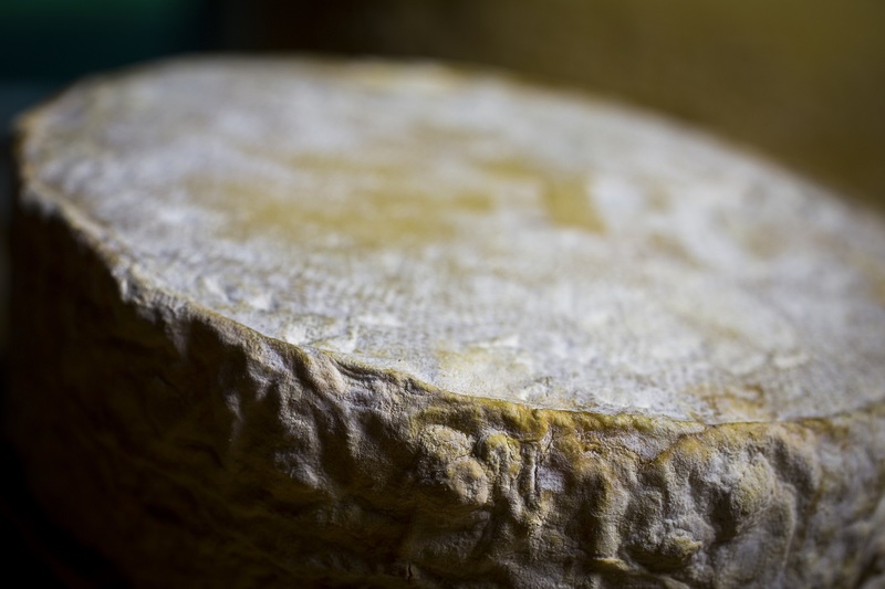 MG é o 1º a formalizar o queijo artesanal com casca florida