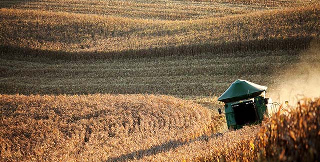 Valor Bruto de Produção fechou ano em R$ 1,18 tri com lavouras líderes em faturamento