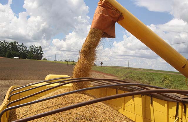 Avanço na exportação agrícola deve ser de 40%