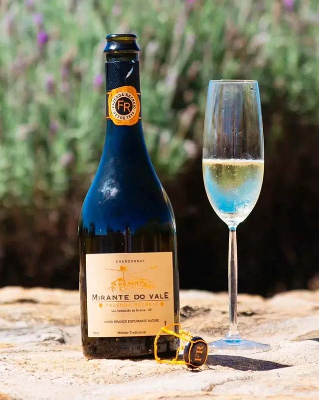 Vinhos criados pela Epamig são vencedores do Wines of Brazil