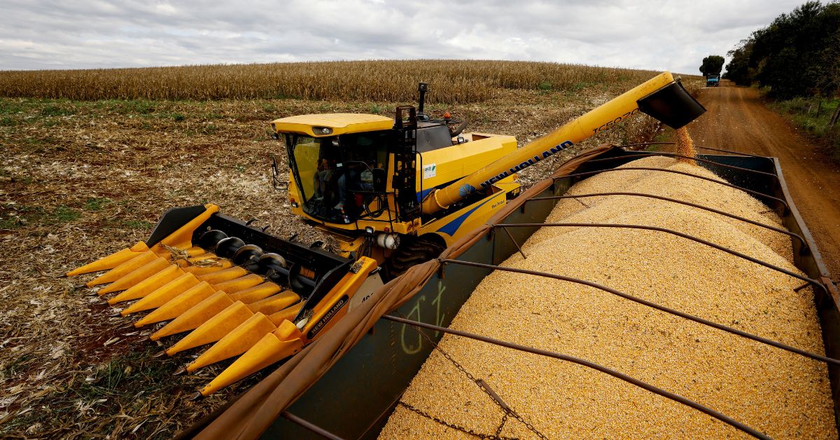 Na mesma época do ano passado, 24% dos campos de soja brasileiros haviam sido colhidos | Crédito: REUTERS/Rodolfo Buhrer