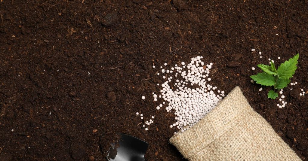 Saco de fertilizantes jogado na terra ao lado de pá e uma muda de planta