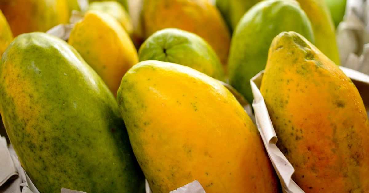 Governo prorroga prazo para cadastro na Agricultura Familiar