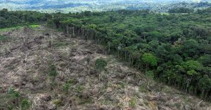 Vista aérea de área desmatada em Uruará, Pará