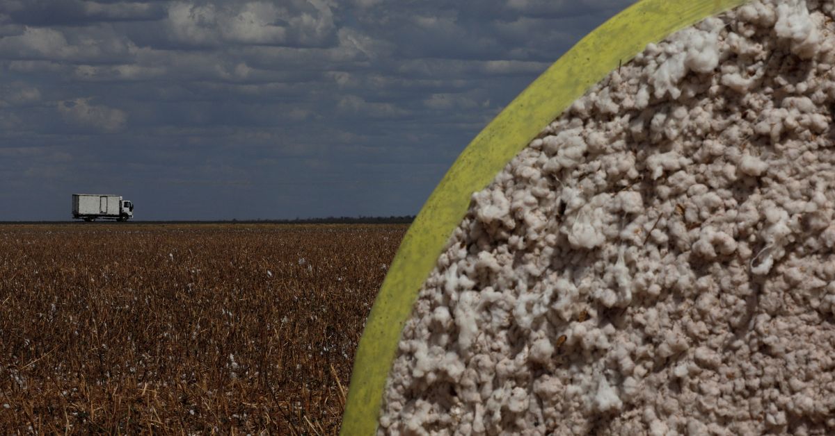 Inadimplência do agricultor do Brasil vai a 27%
