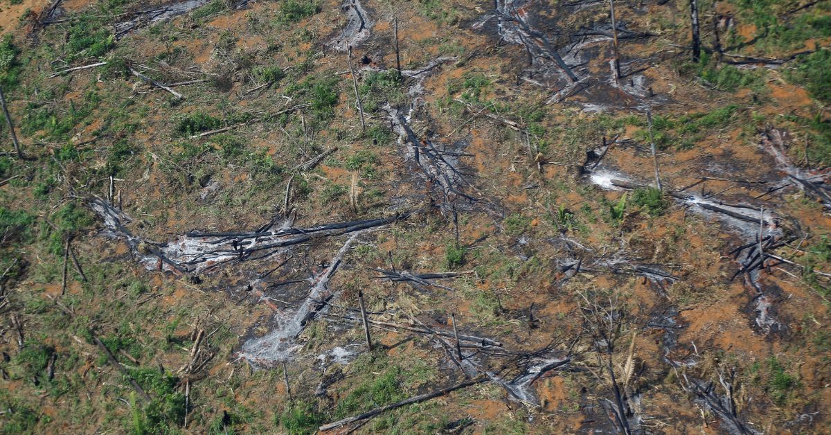 EUA pode anunciar adesão ao Fundo Amazônia em encontro de Lula e Biden