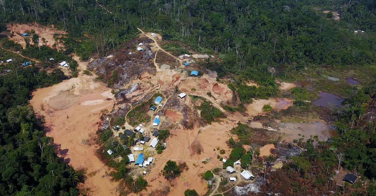PF busca financiadores do garimpo na Terra Yanomami