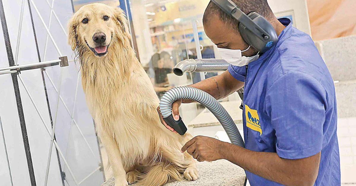 Petz corta serviços veterinários e banho e tosa em lojas