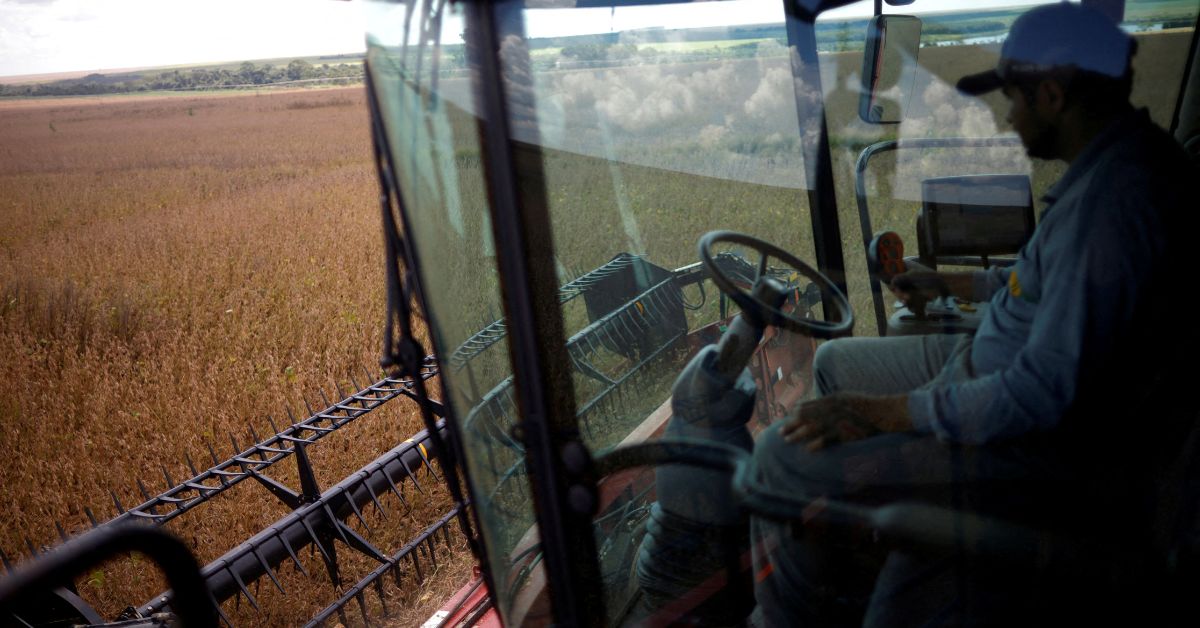Colheita de soja 2022/23 do Brasil atinge 33%