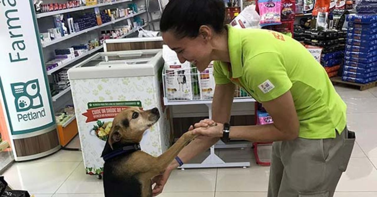 Rede Petland vai inaugurar a sua 31ª unidade no Estado