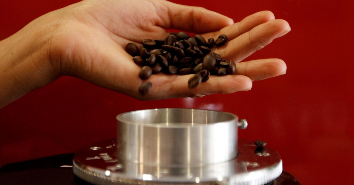Exportação de café despenca em fevereiro com produtor limitando vendas
