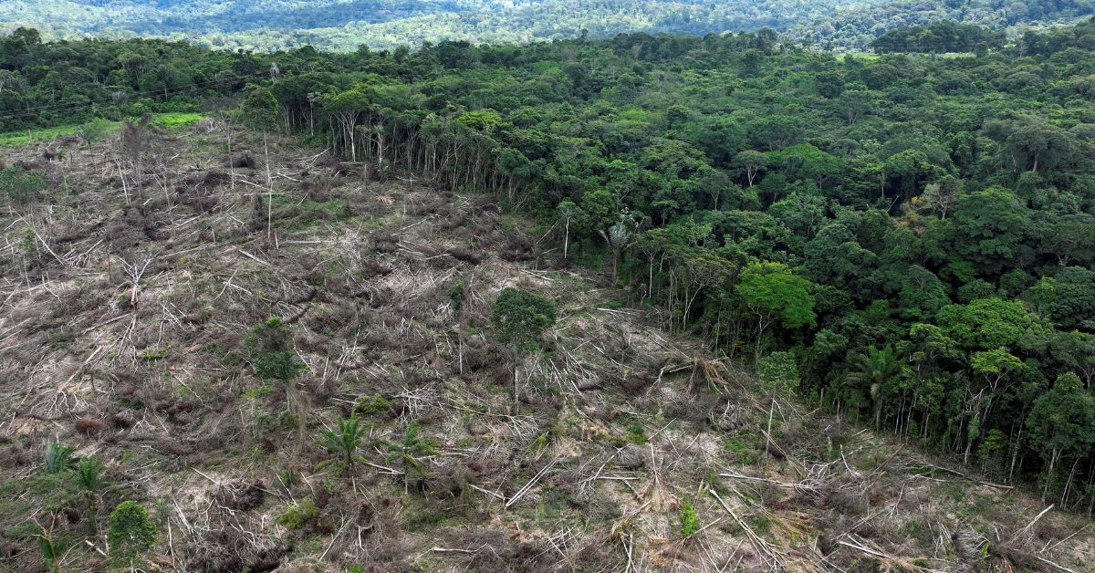 BNDES usa sistema de satélites para bloquear crédito que iria para desmatador