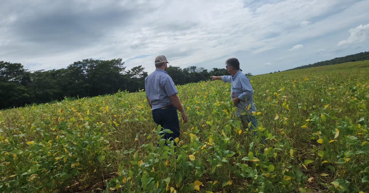 Técnicos especializados da empresa já estão nas lavouras orientando produtores de Iturama para | Crédito: Cultura Agromais/Divulgação