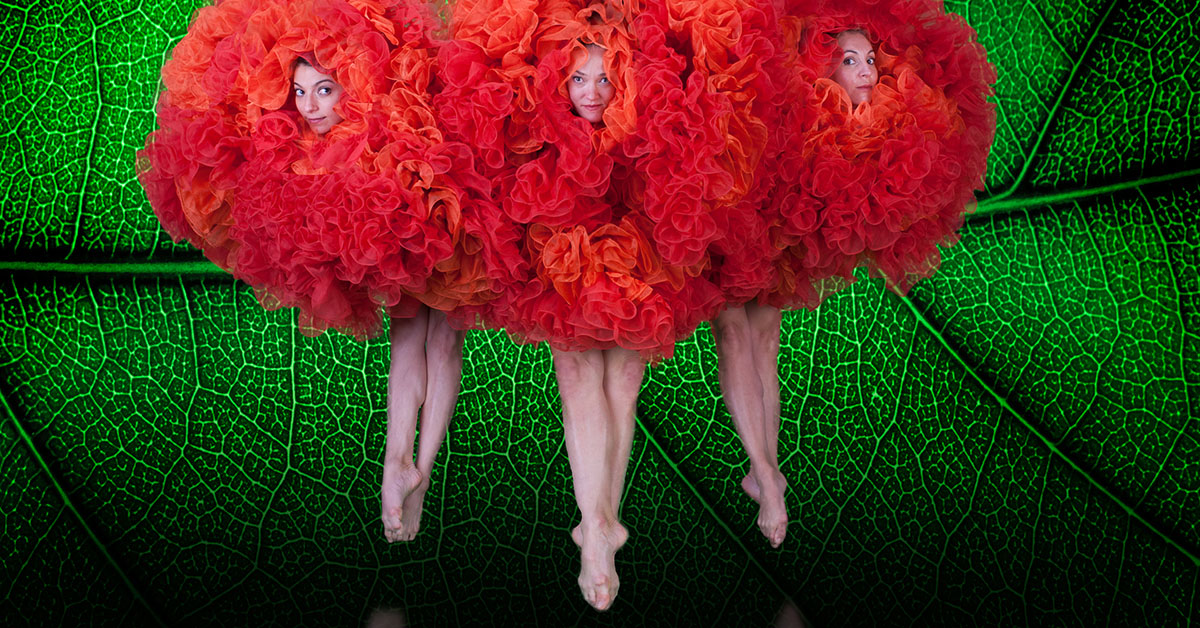 Momix apresenta espetáculo na Capital