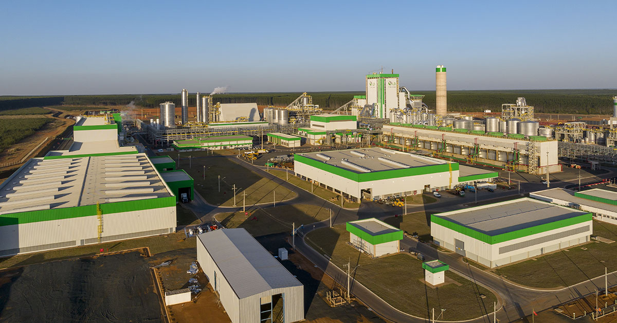 LD Celulose atinge 100% da capacidade de produção