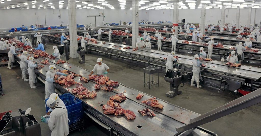 Trabalhadores em setor de corte e embalagem de carnes