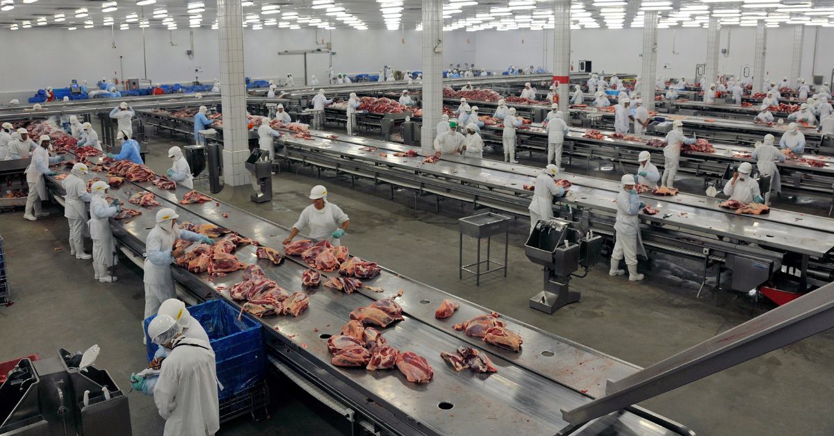 Marrocos abre mercado para carne bovina e miúdos do Brasil