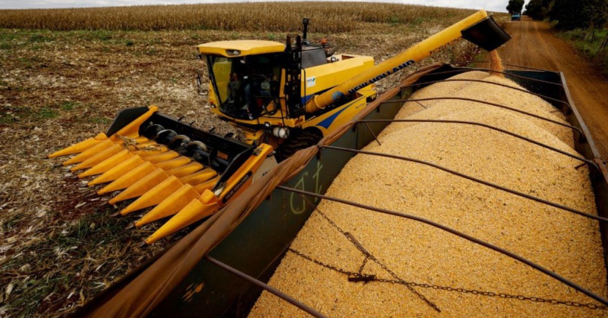 Medidas do governo para escoamento da safra de grãos 2025 incluem R$ 7,15 bi em investimentos