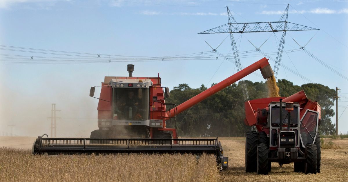 Se confirmada, a produção da oleaginosa crescerá 21,6% em relação à temporada 2021/22 | Crédito: REUTERS/Enrique Marcarian