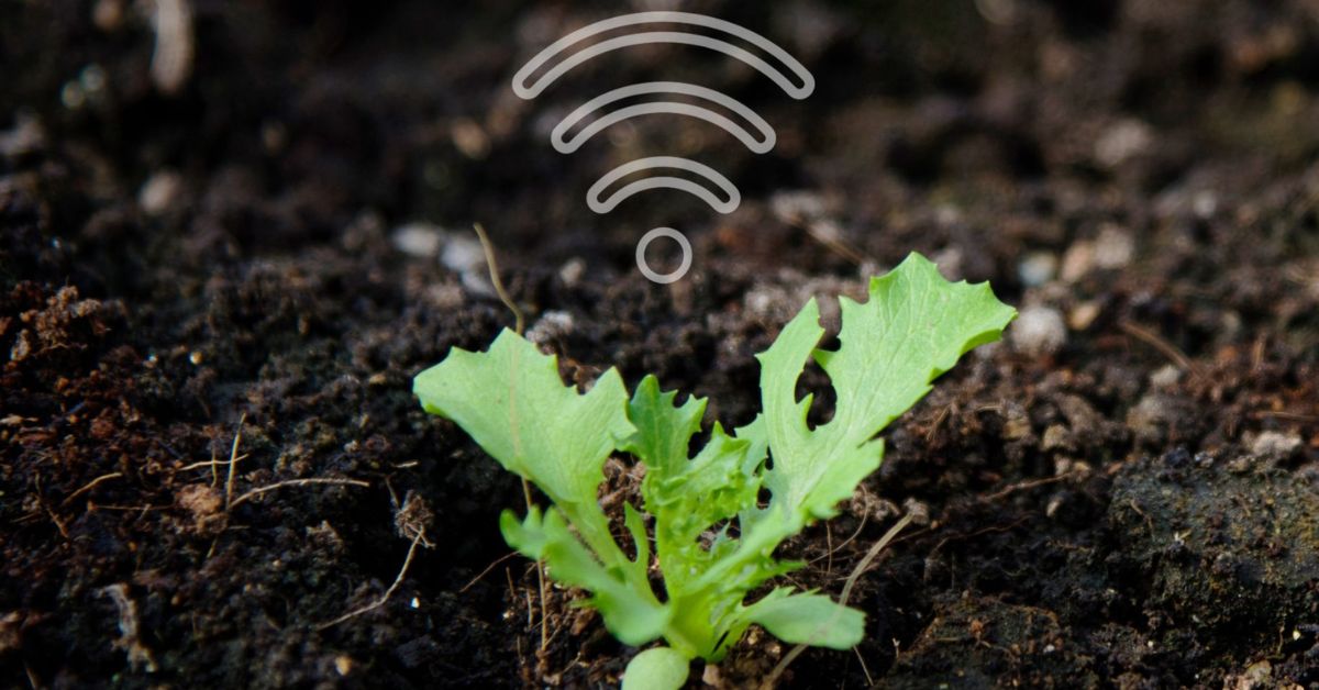 Automação e convergência de tecnologias na Agricultura 4.0