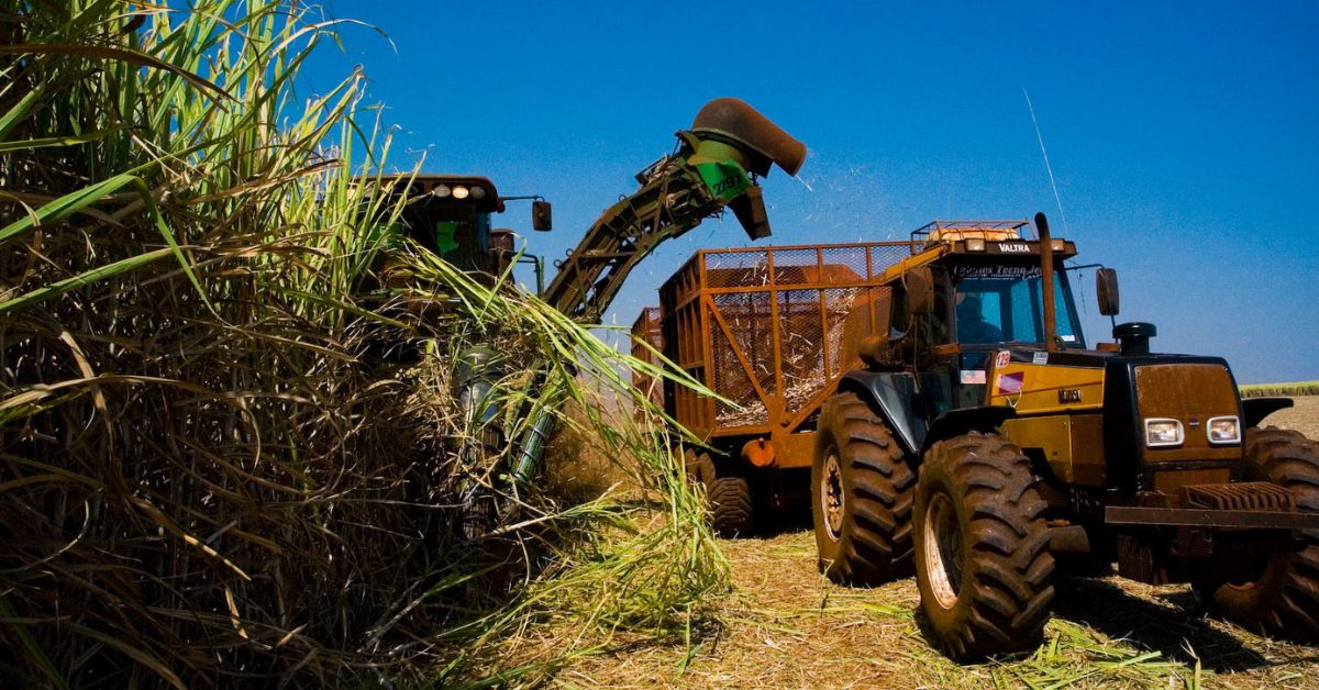 A Sada ainda produz etanol a partir da cana-de-açúcar, um processo totalmente limpo e renovável | Crédito: Divulgação