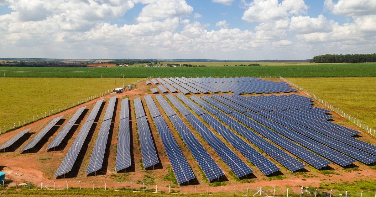 ForGreen vai investir R$ 115 mi em Minas
