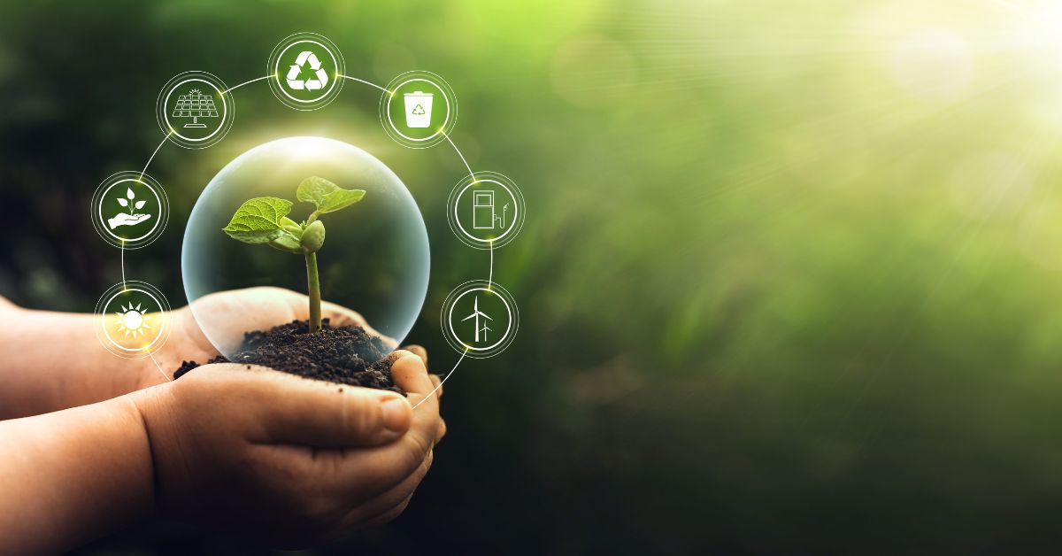Governo projeta impacto de R$ 772 bi com Plano de Transformação Ecológica até 2050