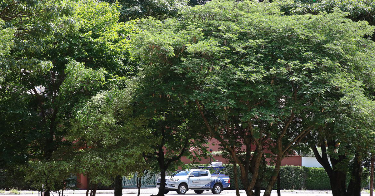 Bioeconomia pode somar US$ 284 bi por ano ao faturamento industrial até 2050