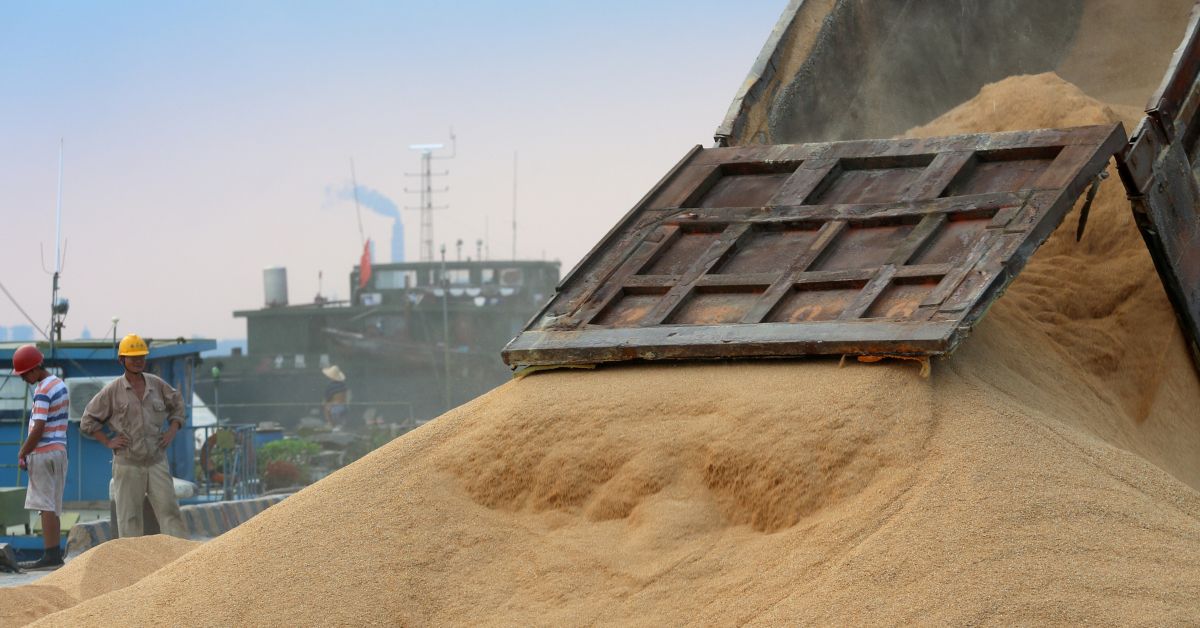 Soja importada em porto de Nantong, província de Jiangsu, na China | Crédito: REUTERS/Stringer