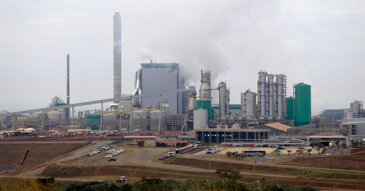 De tendência a crucial nas empresas: saiba como implantar práticas ESG