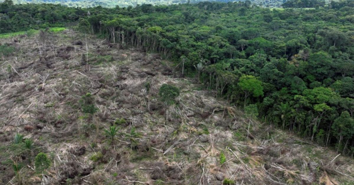 Falta de regulamentação levou a um aumento no desmatamento ilegal | Crédito: Ueslei Marcelino/Reuters