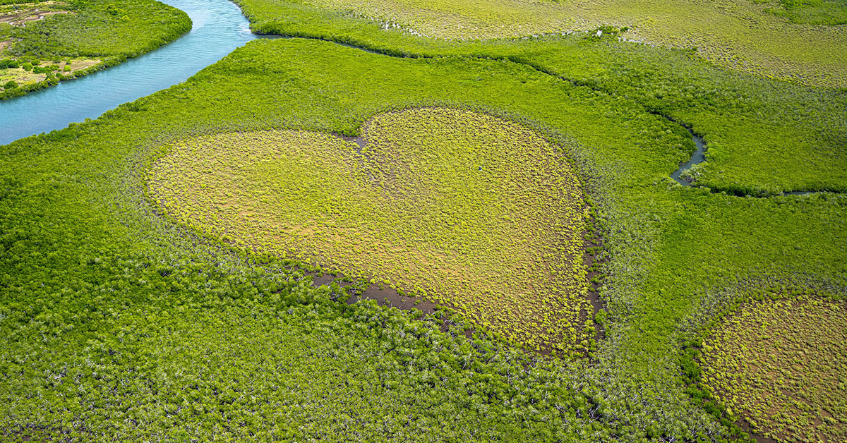 O Brasil é dono da maior diversidade do planeta, de 12% da água doce e responsável por mais de 60% da Floresta Amazônica | Crédito: Pixabay