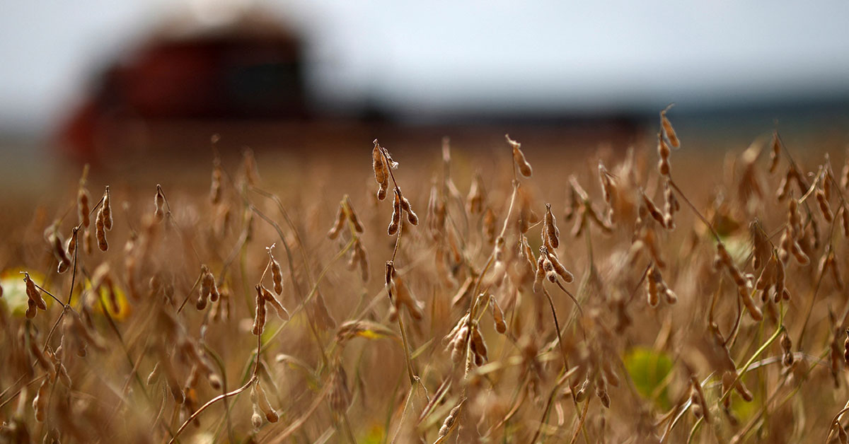 Setores agropecuário e de serviços são apontados por especialistas como destaques positivos da economia brasileira neste início de ano | Crédito: Adriano Machado/Archivo/Reuters