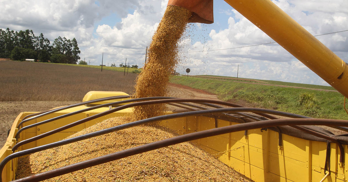 Produção estimada de soja no Estado é de 8,2 milhões de toneladas (expansão de 9,3%) | Crédito Jonas Oliveira