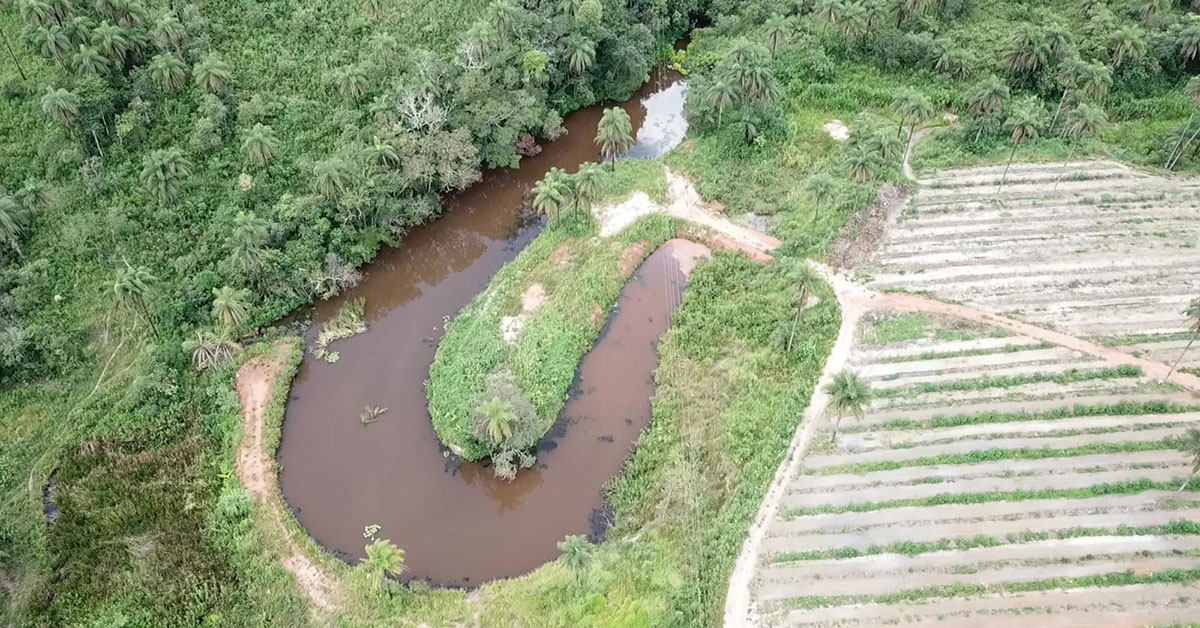 Na Fazenda Indaiá, em Brumadinho, Lucas Sigefredo adotou o modelo agroflorestal, agregando valor aos produtos | Crédito: Arquivo pessoal/Lucas Sigefredo