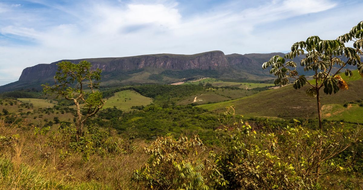 DIÁRIO DO COMÉRCIO INTEGRA MINAS