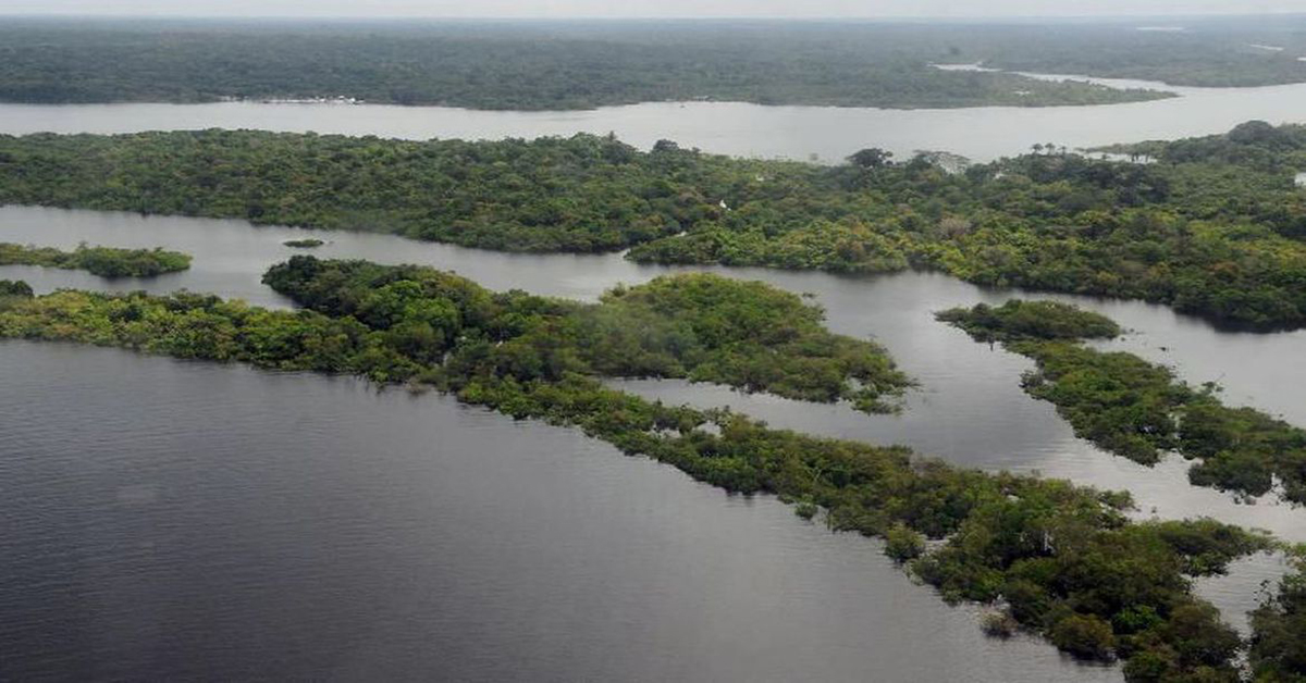 Cinco países aderem a fundo para conservação de florestas tropicais