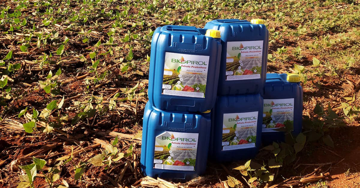 Biocarbo deve ampliar produção em MG