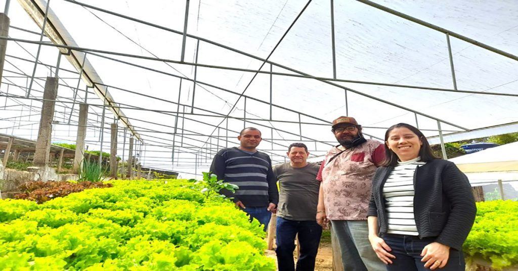 Produtores de hortaliças de Conselheiro Lafaiete, Minas Gerais