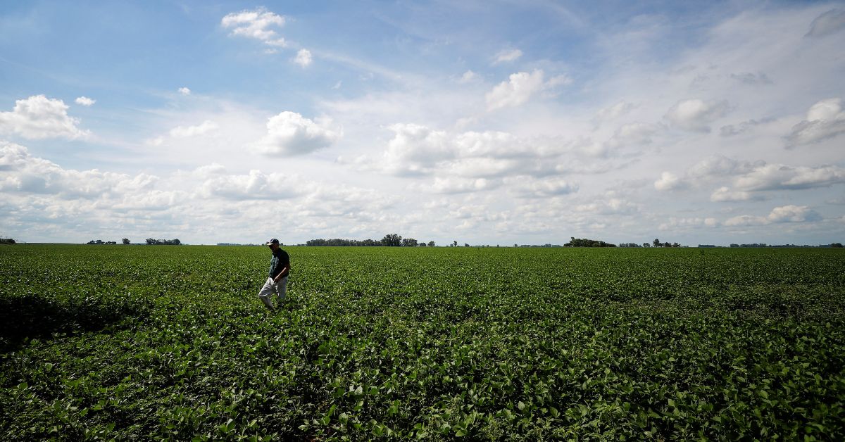 Mais de 39 mil agricultores do Semiárido mineiro  começam a receber benefício do Garantia-Safra