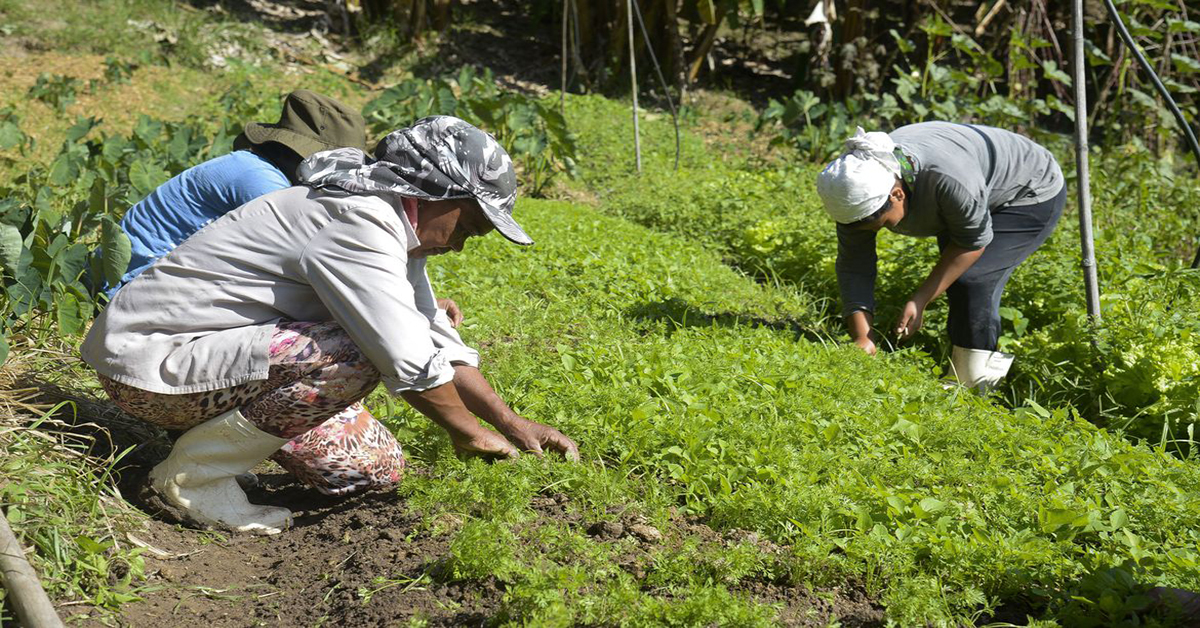 Agronegócio gerou 359,6 mil vagas formais nos últimos três anos