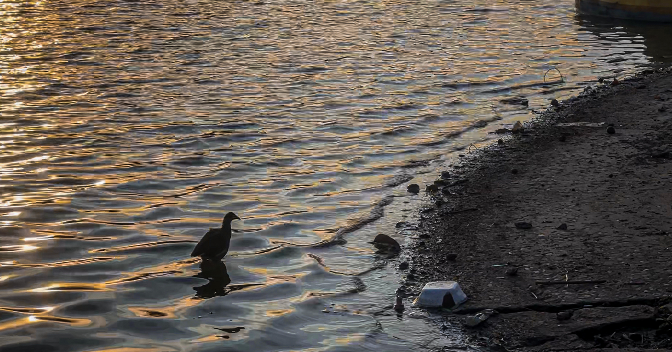 Uma promessa de futuro: a Lagoa da Pampulha, criada para ser um dos principais pontos de lazer da cidade, hoje se encontra poluída e cercada de lixo em partes do seu entorno. 