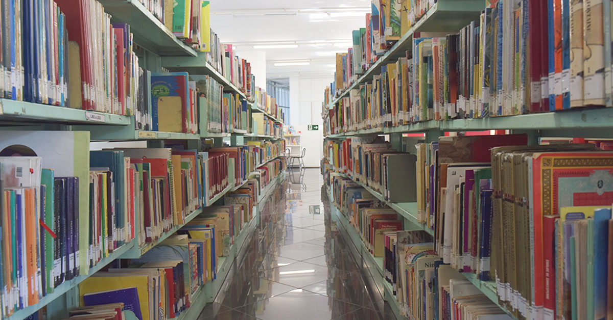 Acervo da Biblioteca Pública de Minas Gerais é revitalizado